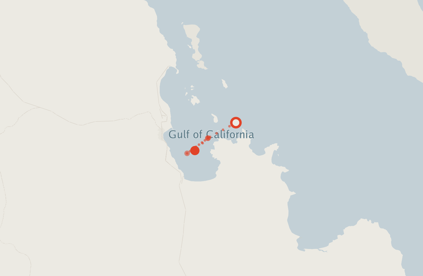 Activity map — real sighting points on an OpenStreetMap basemap