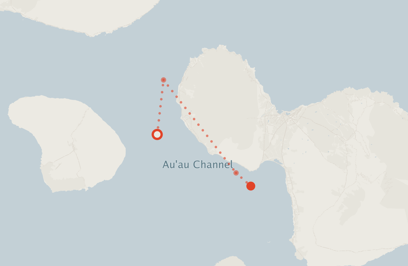 Activity map — real sighting points on an OpenStreetMap basemap