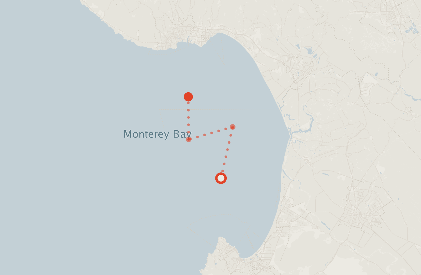 Activity map — real sighting points on an OpenStreetMap basemap