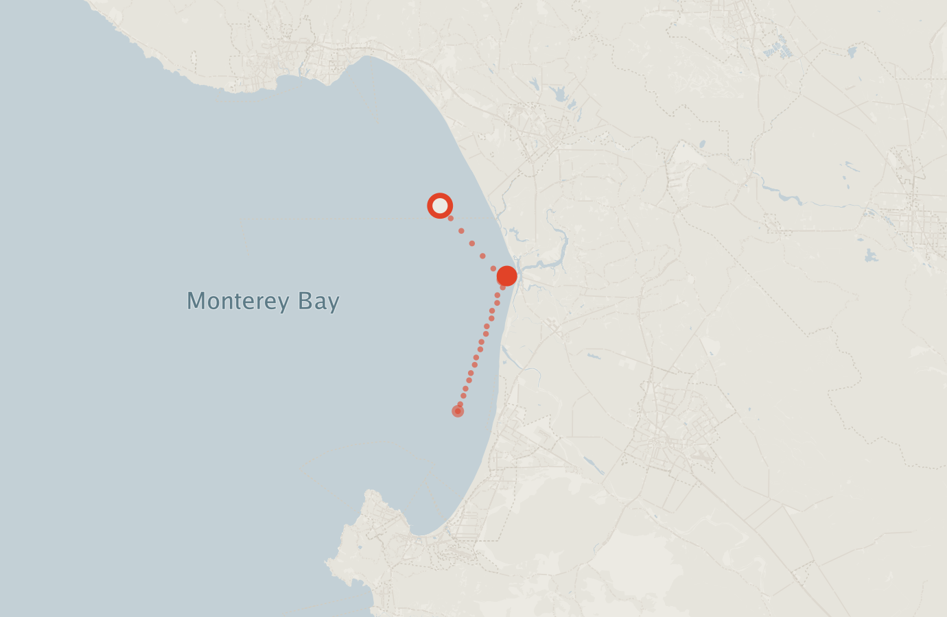 Activity map — real sighting points on an OpenStreetMap basemap
