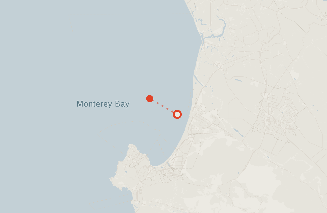 Activity map — real sighting points on an OpenStreetMap basemap