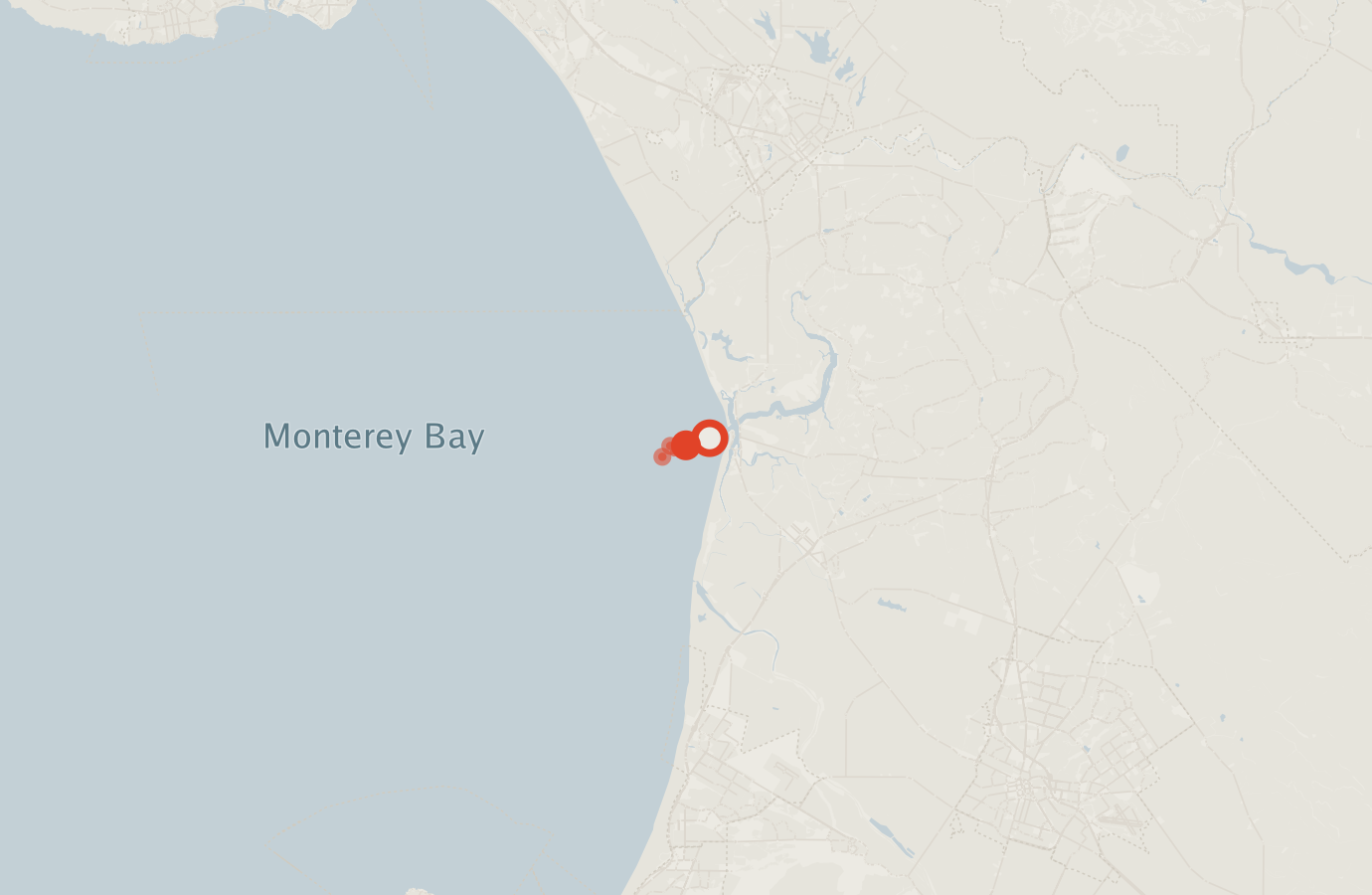 Activity map — real sighting points on an OpenStreetMap basemap