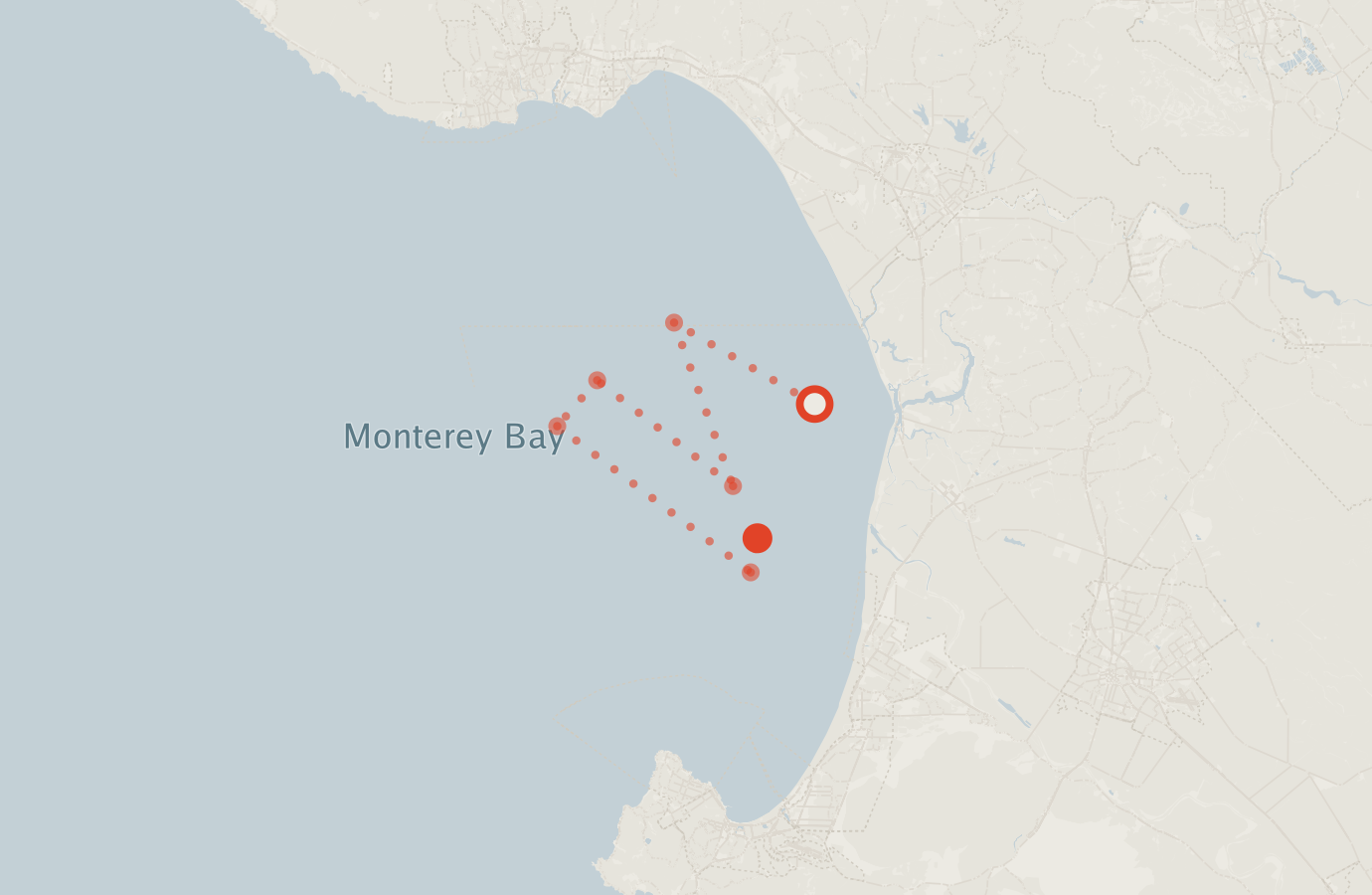 Activity map — real sighting points on an OpenStreetMap basemap