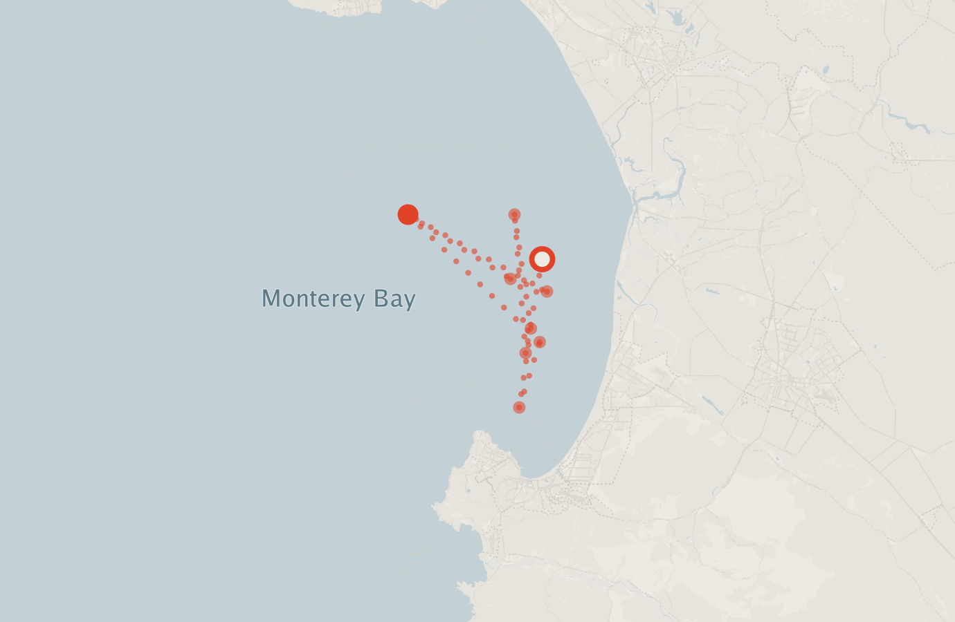 Activity map — real sighting points on an OpenStreetMap basemap