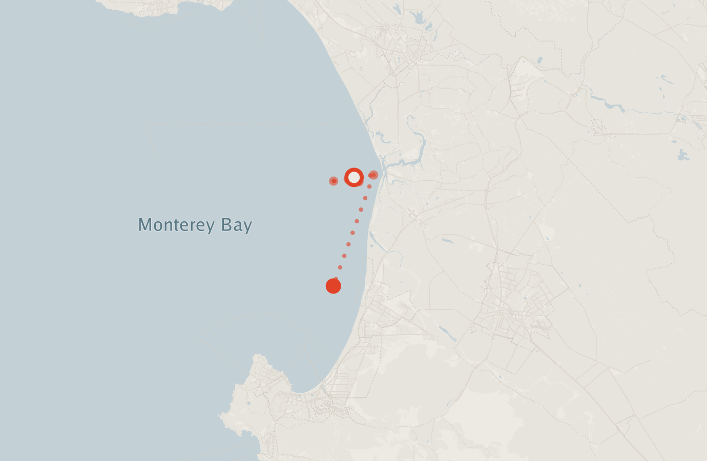 Activity map — real sighting points on an OpenStreetMap basemap