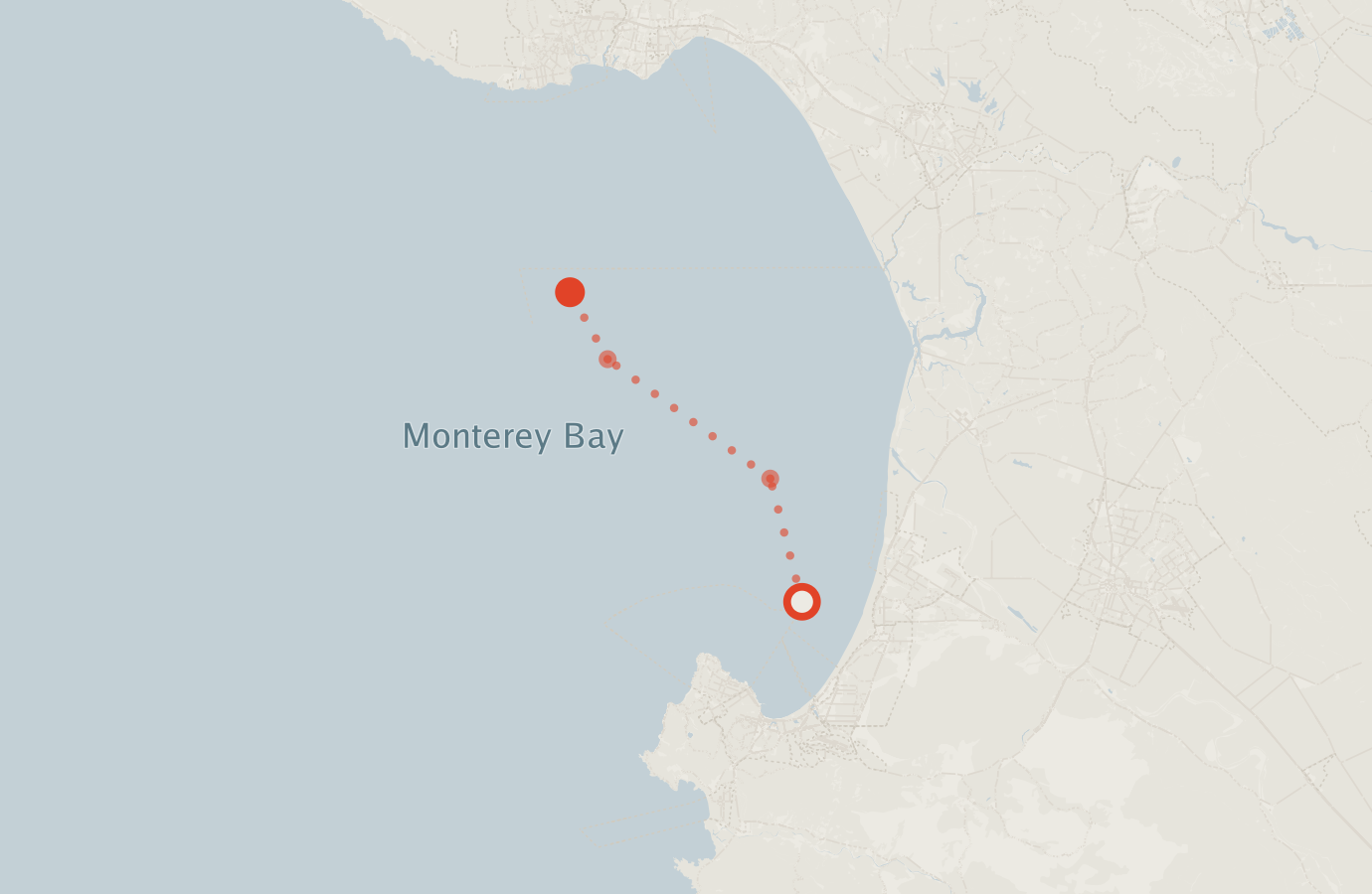 Activity map — real sighting points on an OpenStreetMap basemap
