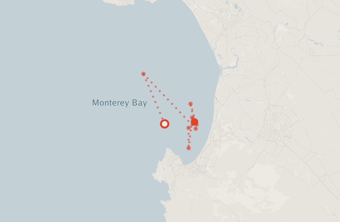 Activity map — real sighting points on an OpenStreetMap basemap