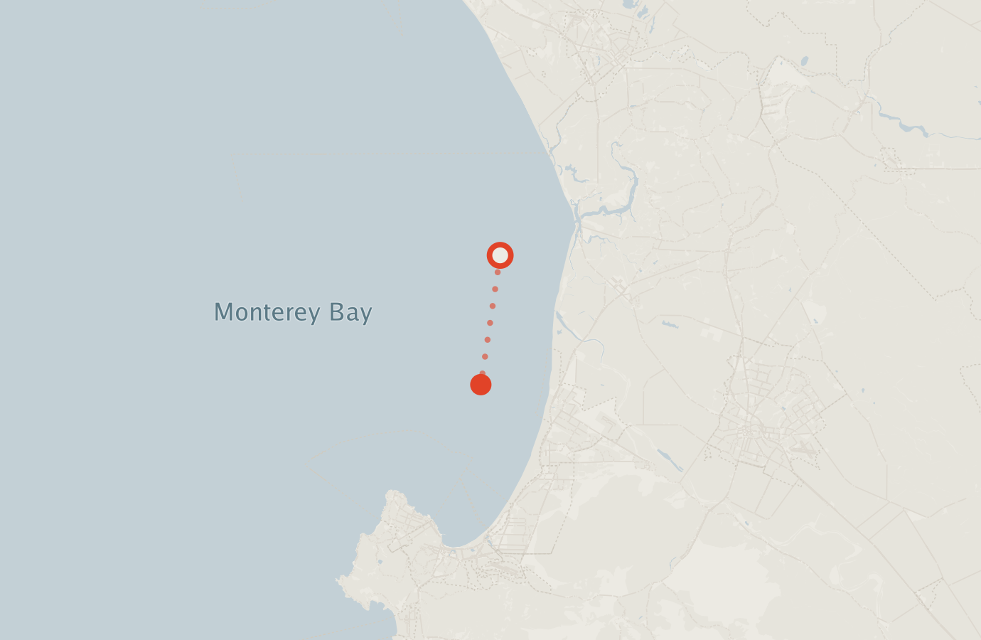 Activity map — real sighting points on an OpenStreetMap basemap