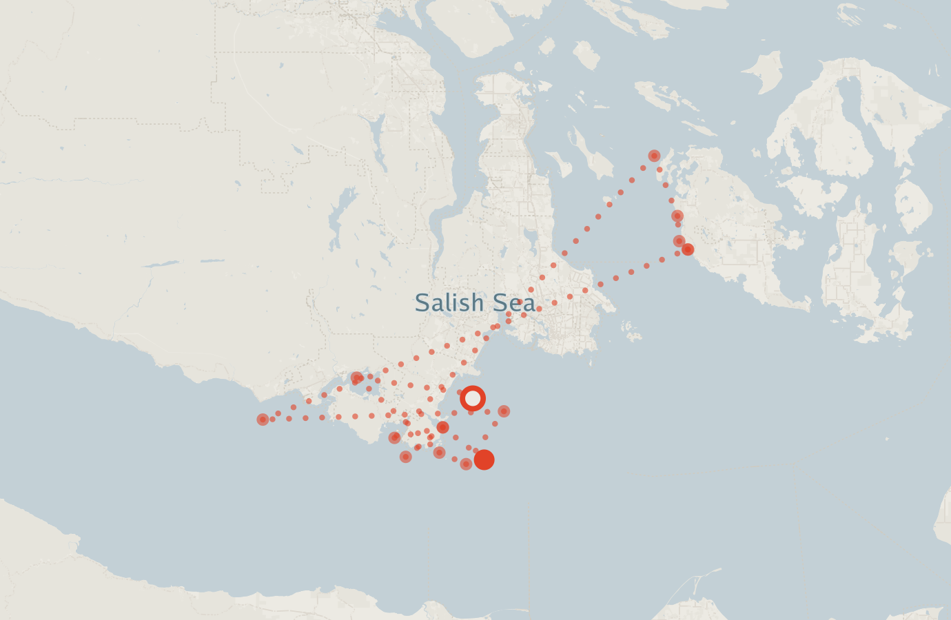 Activity map — real sighting points on an OpenStreetMap basemap