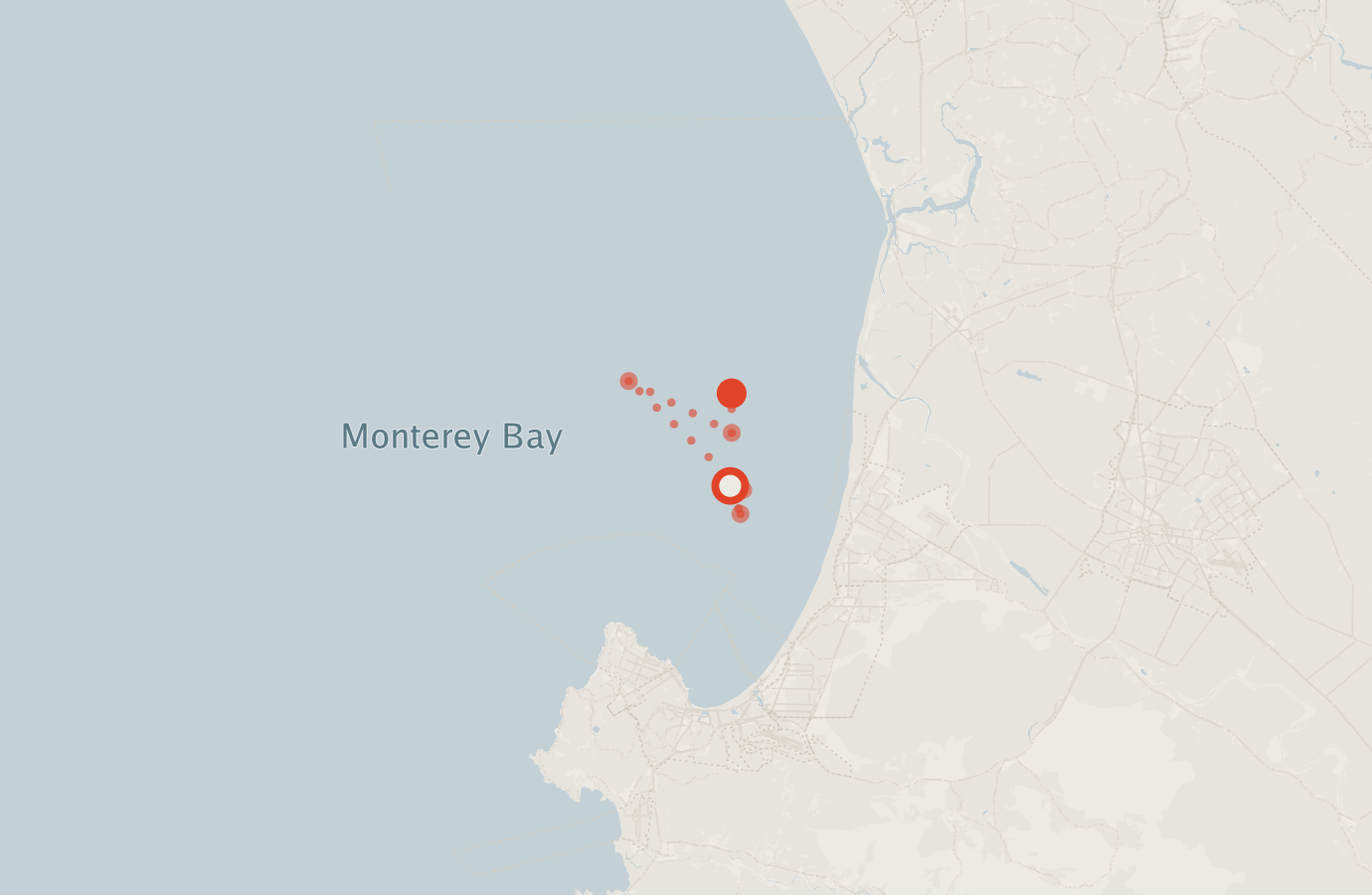 Activity map — real sighting points on an OpenStreetMap basemap
