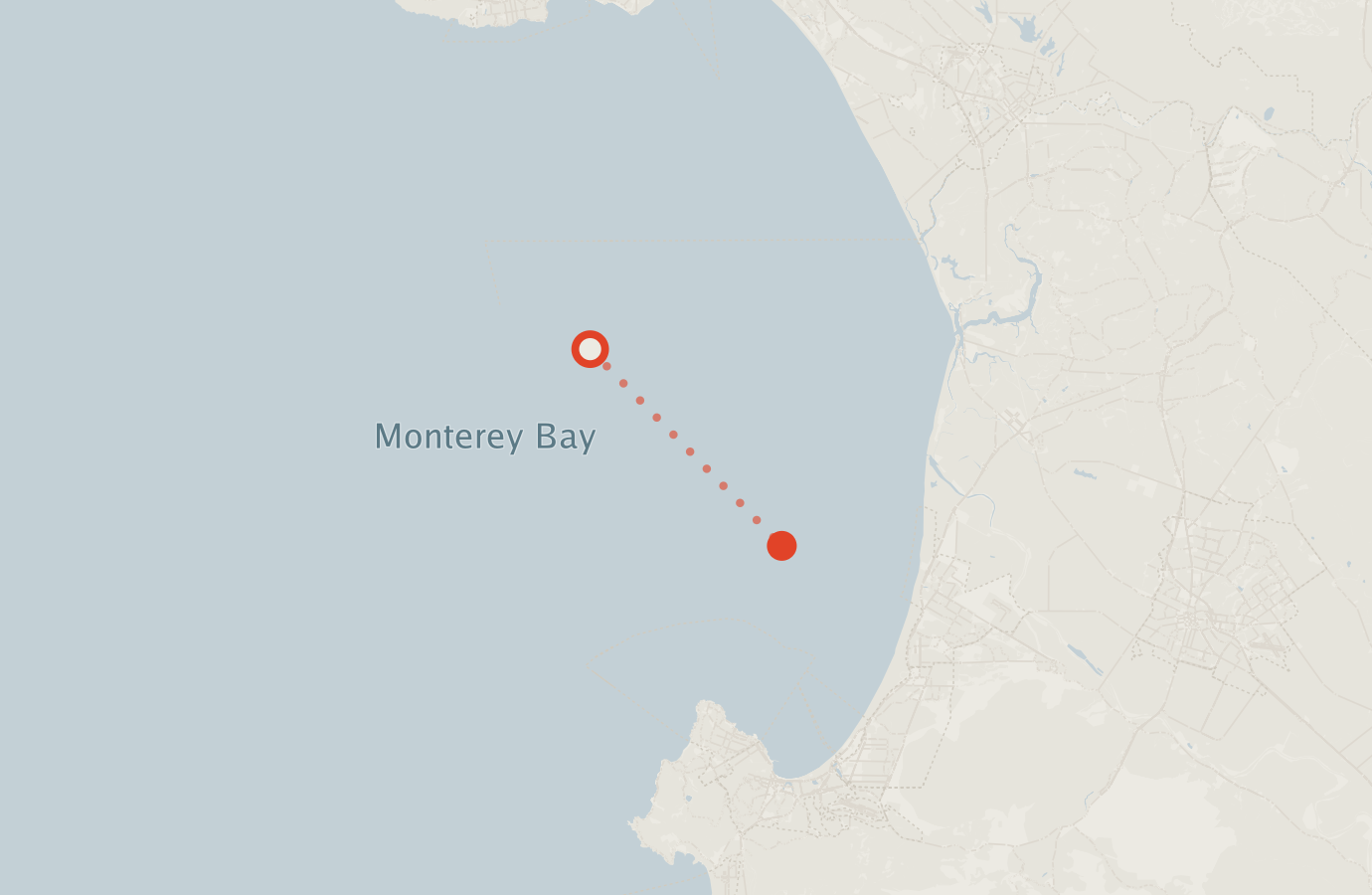 Activity map — real sighting points on an OpenStreetMap basemap