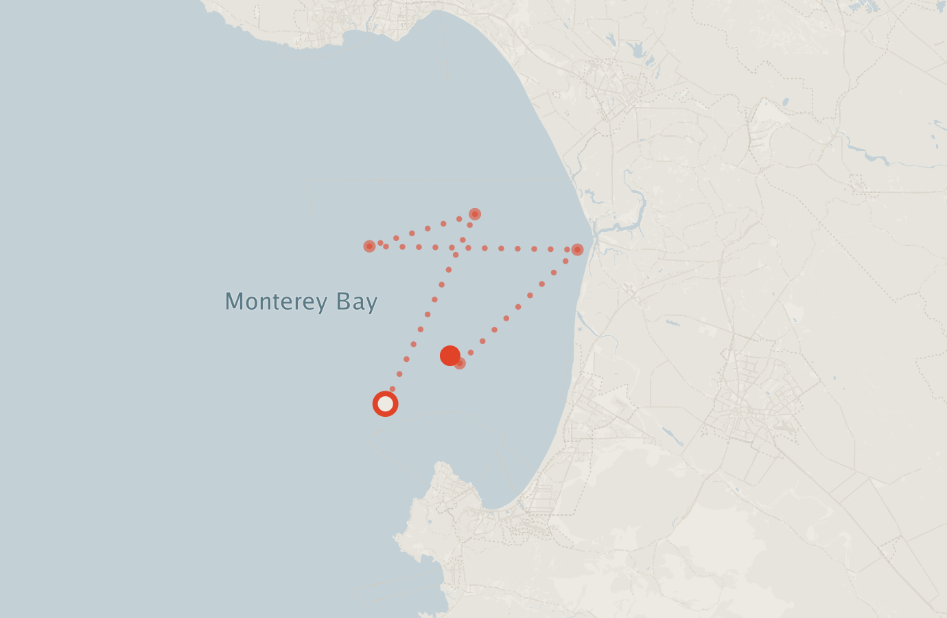 Activity map — real sighting points on an OpenStreetMap basemap