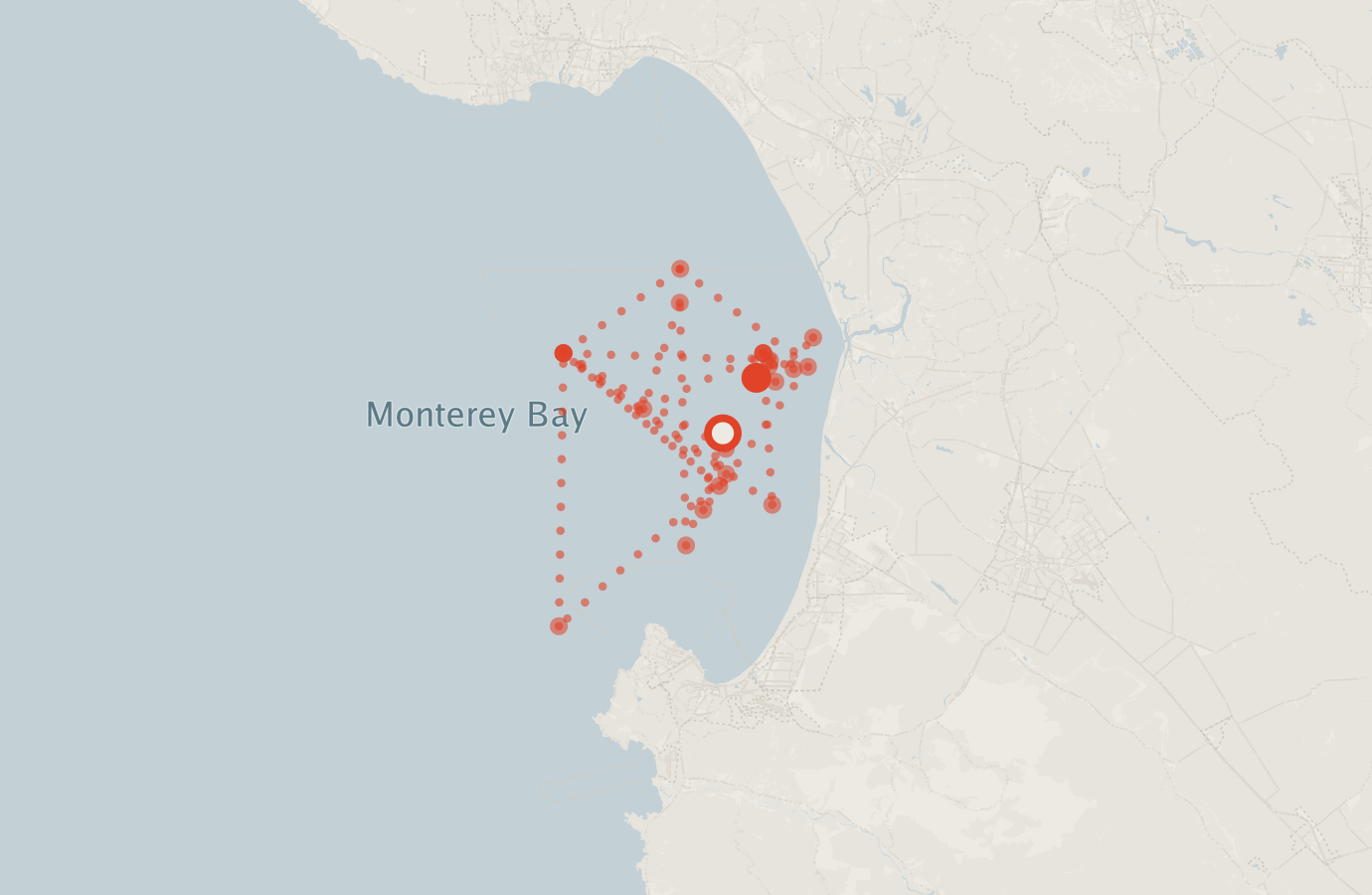 Activity map — real sighting points on an OpenStreetMap basemap