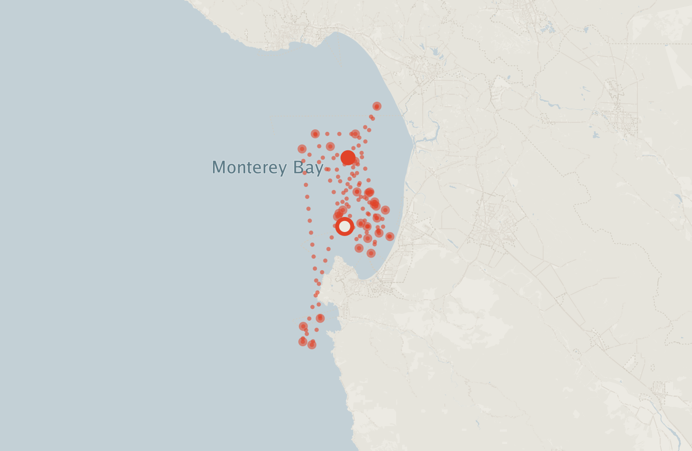 Activity map — real sighting points on an OpenStreetMap basemap