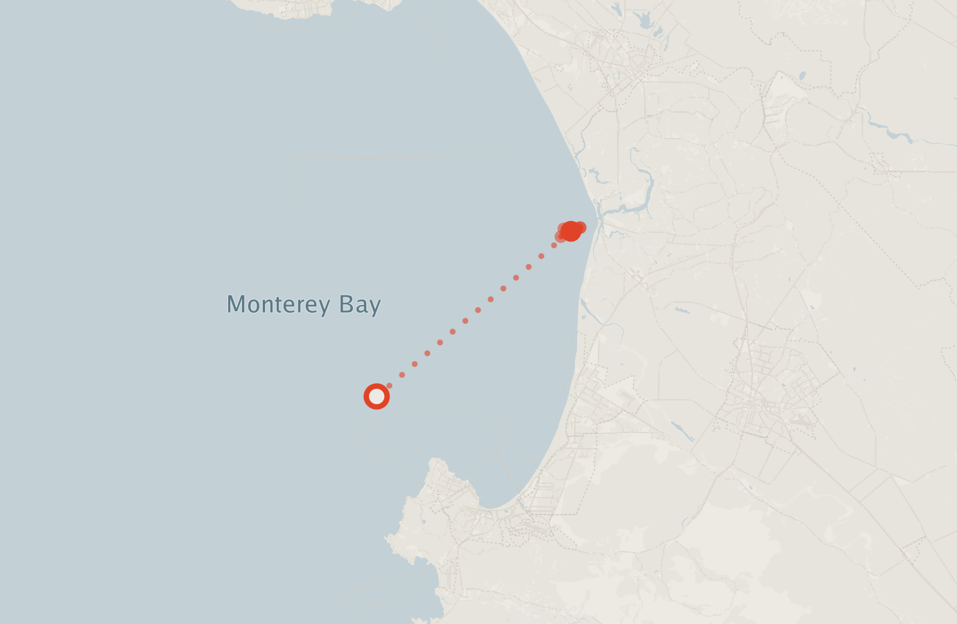 Activity map — real sighting points on an OpenStreetMap basemap