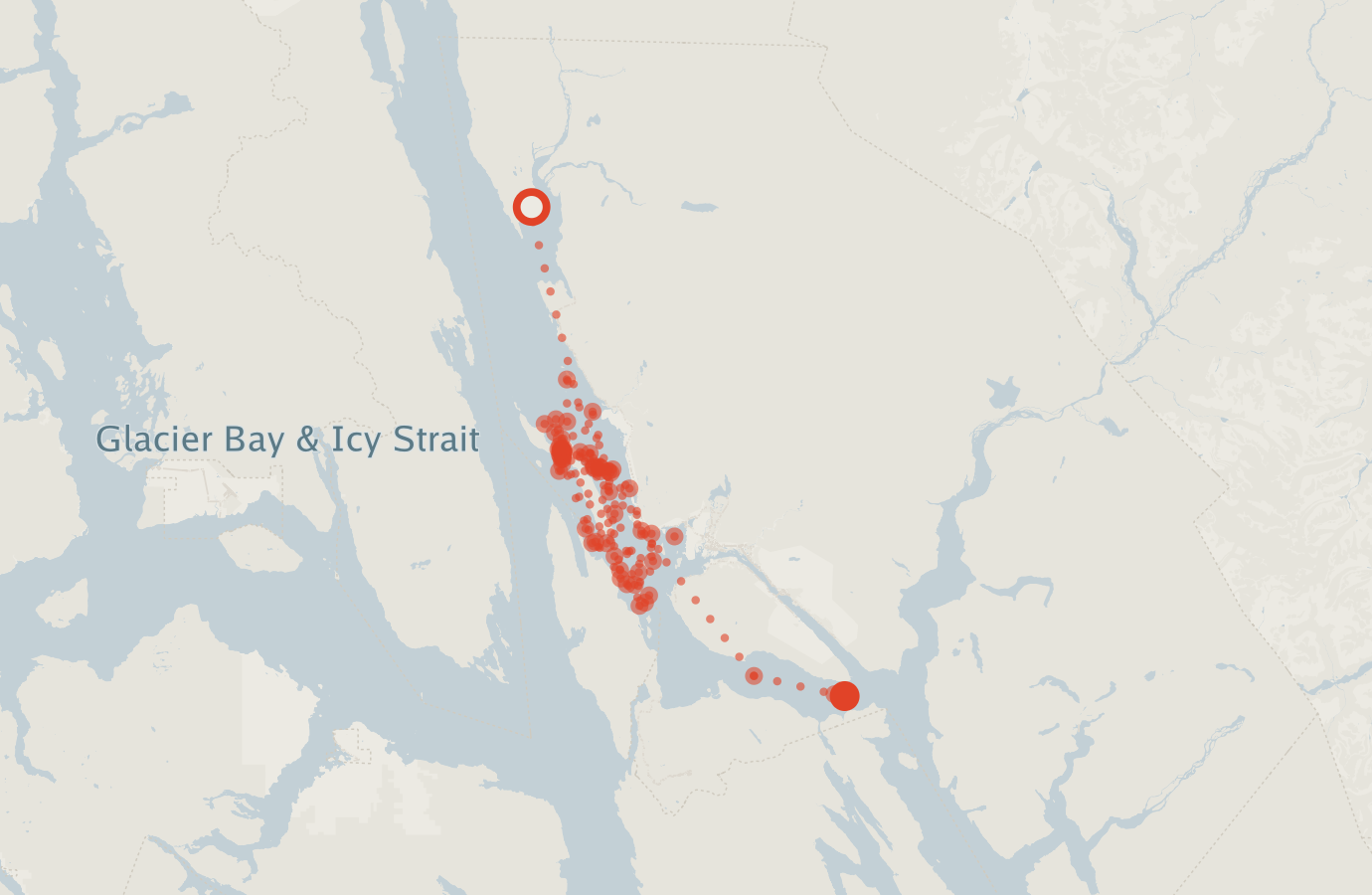 Activity map — real sighting points on an OpenStreetMap basemap