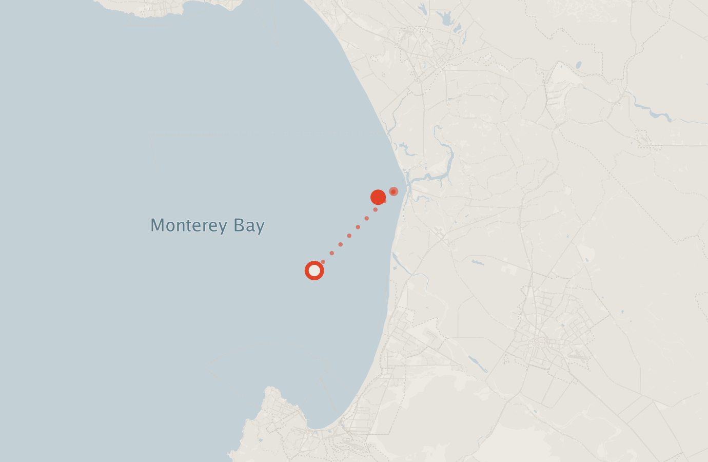 Activity map — real sighting points on an OpenStreetMap basemap