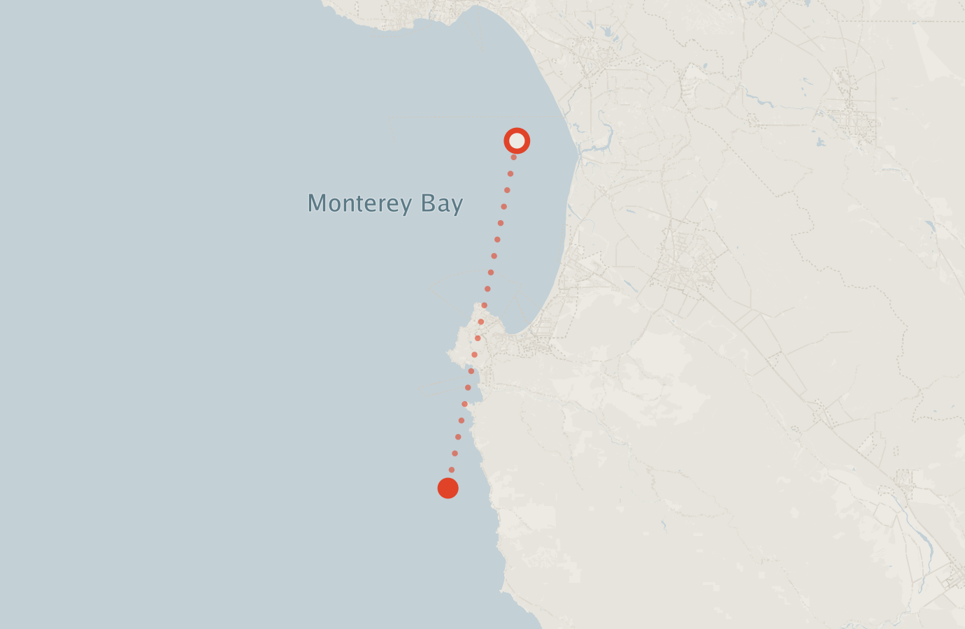 Activity map — real sighting points on an OpenStreetMap basemap