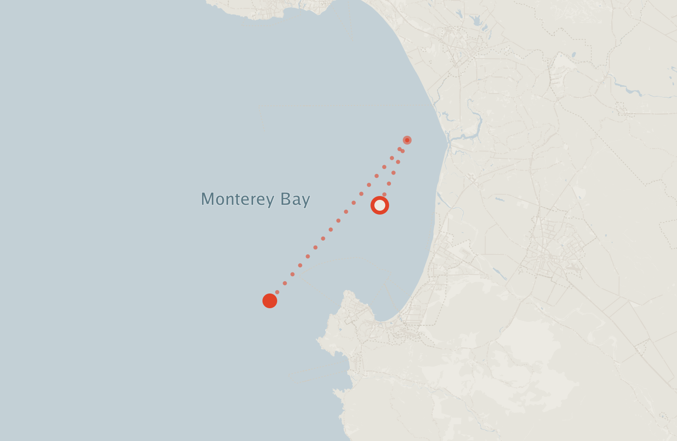 Activity map — real sighting points on an OpenStreetMap basemap