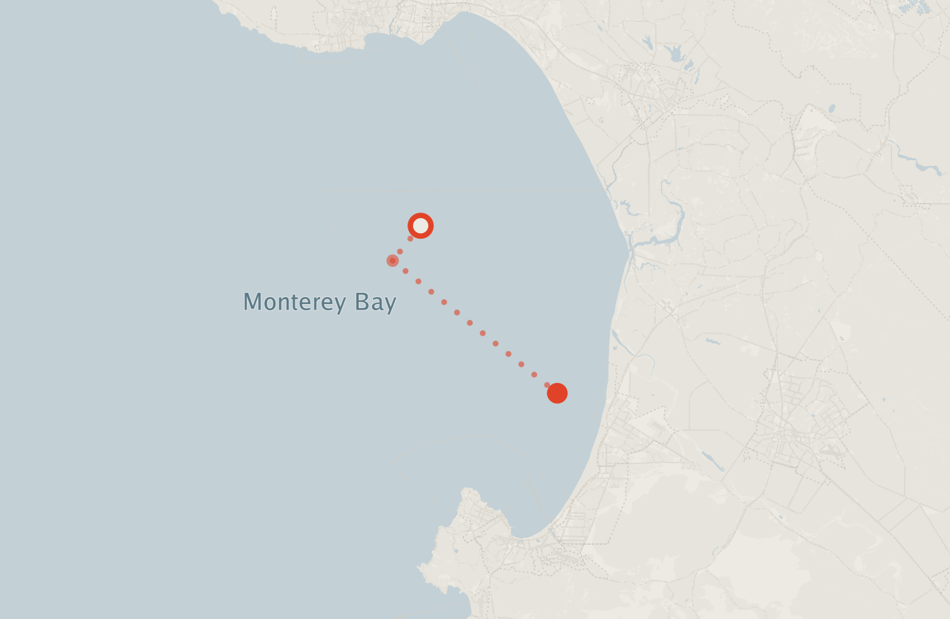 Activity map — real sighting points on an OpenStreetMap basemap