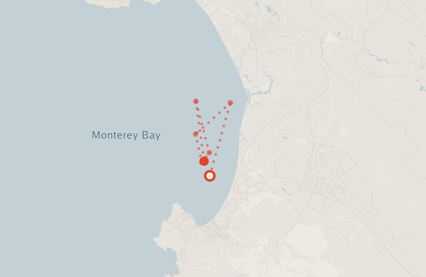 Activity map — real sighting points on an OpenStreetMap basemap