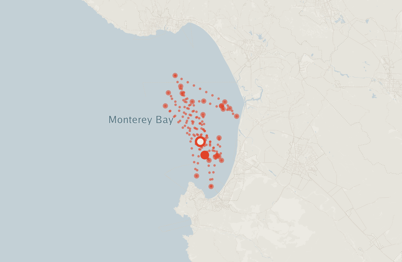 Activity map — real sighting points on an OpenStreetMap basemap