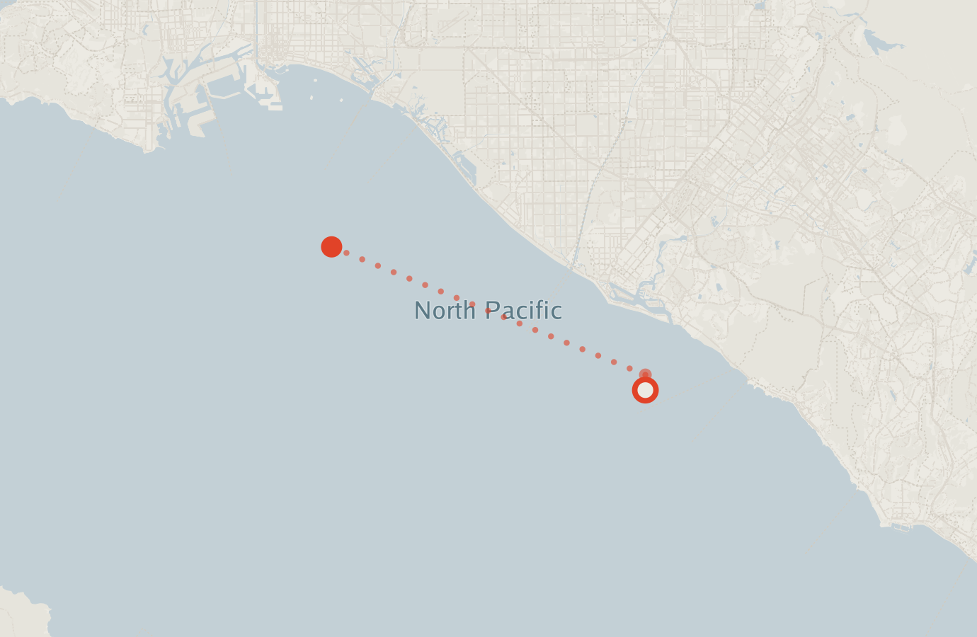 Activity map — real sighting points on an OpenStreetMap basemap