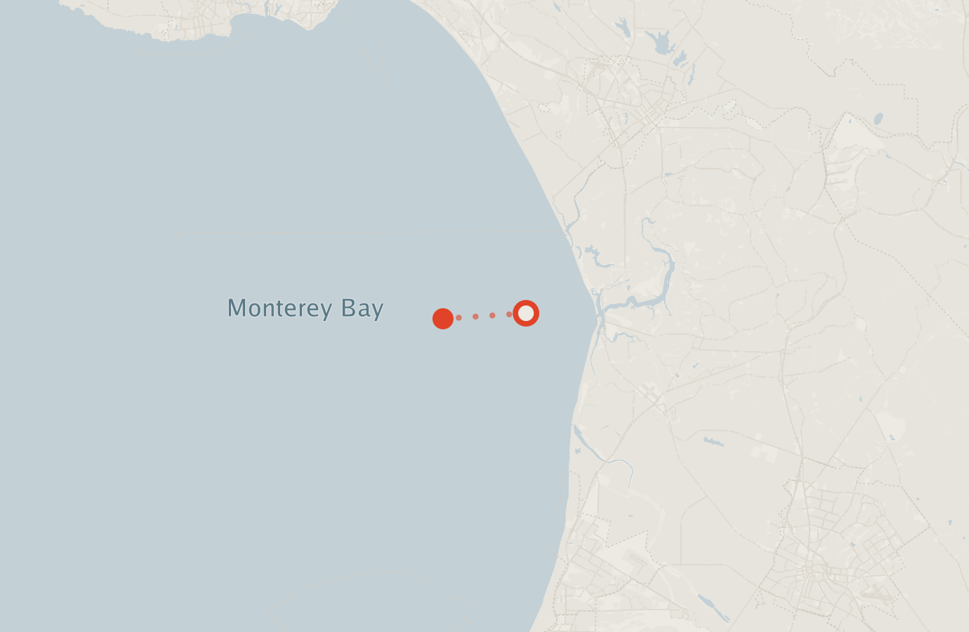 Activity map — real sighting points on an OpenStreetMap basemap