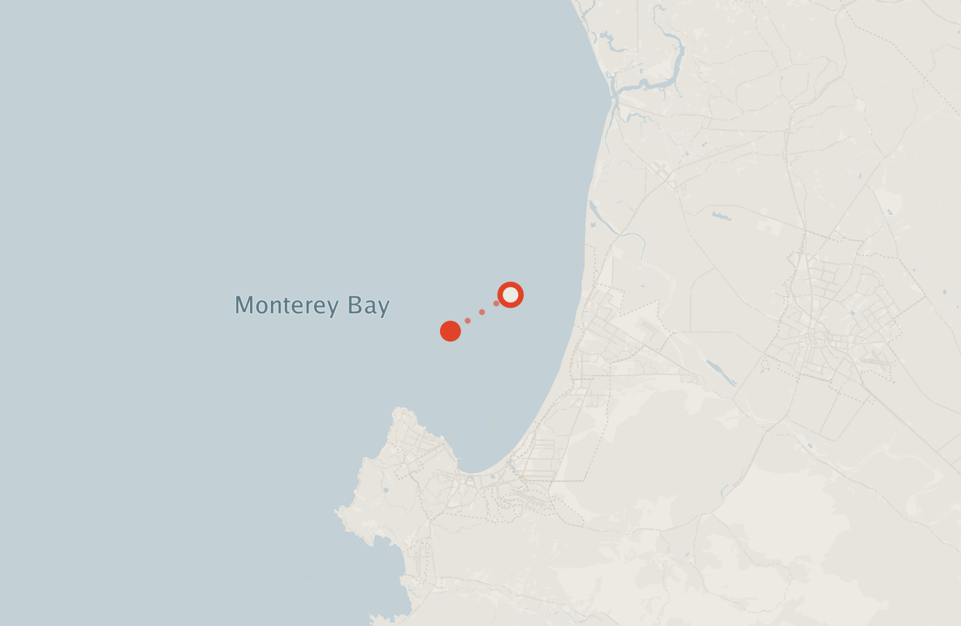 Activity map — real sighting points on an OpenStreetMap basemap
