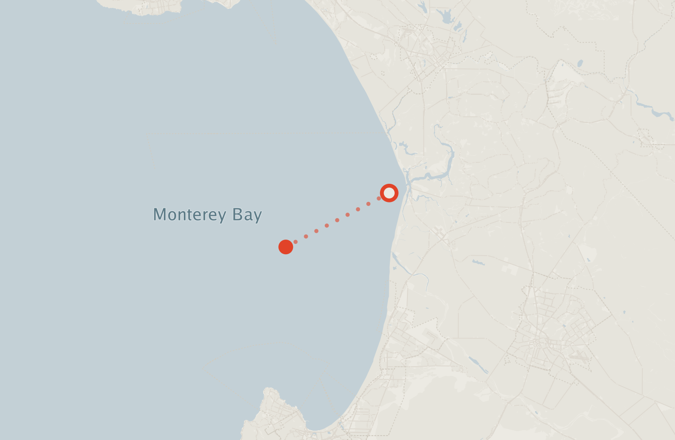 Activity map — real sighting points on an OpenStreetMap basemap