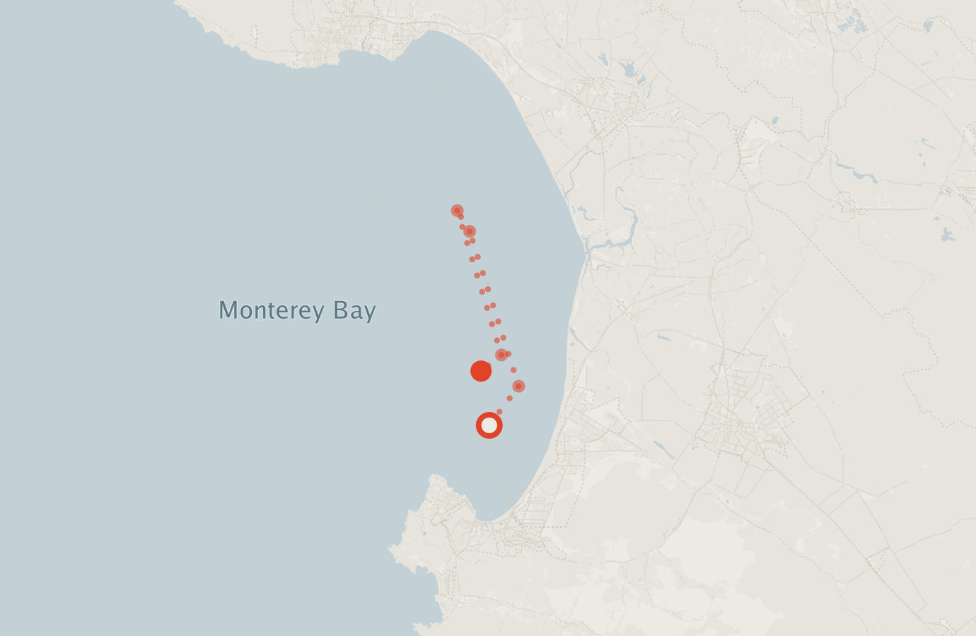 Activity map — real sighting points on an OpenStreetMap basemap