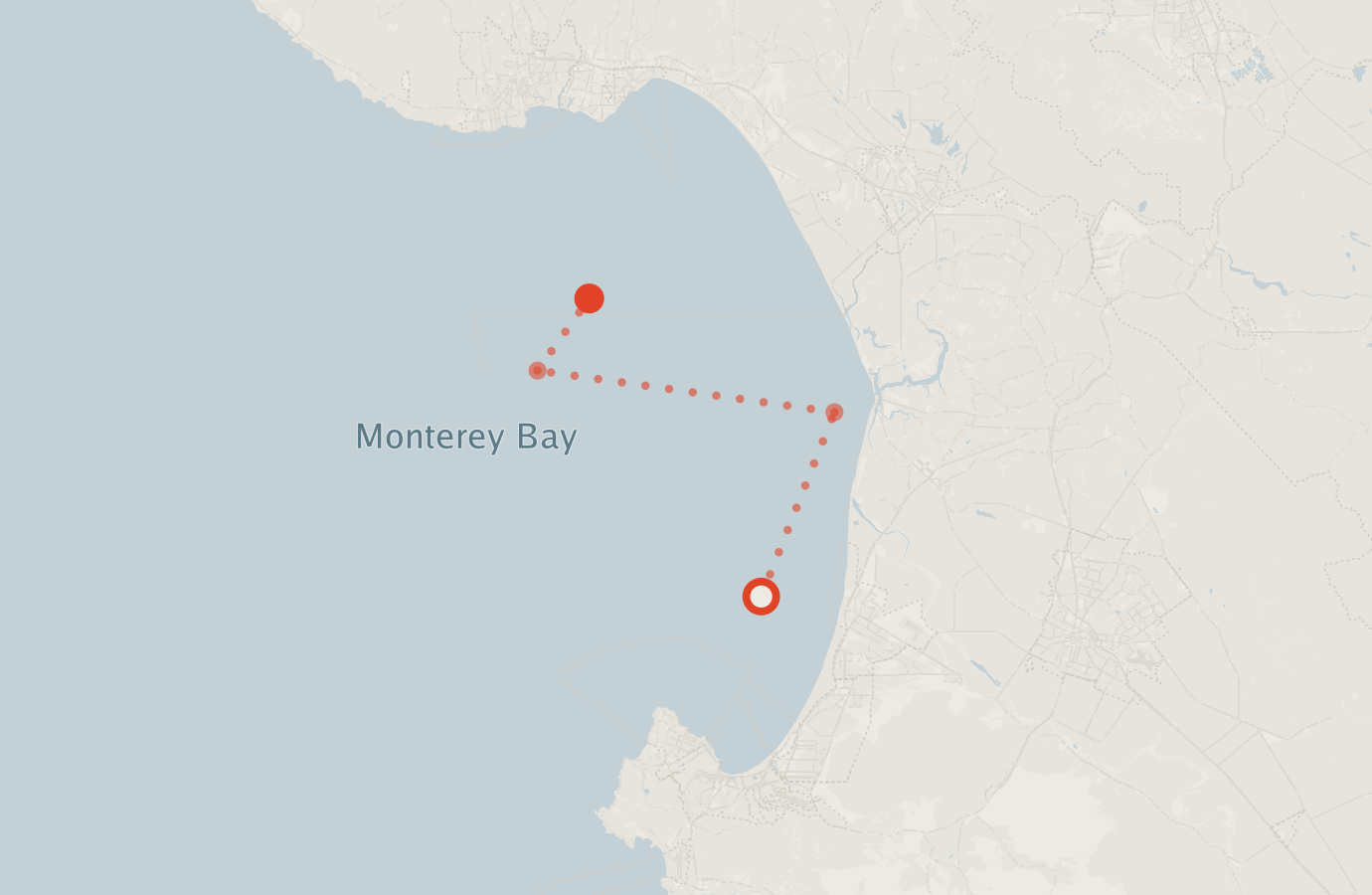 Activity map — real sighting points on an OpenStreetMap basemap