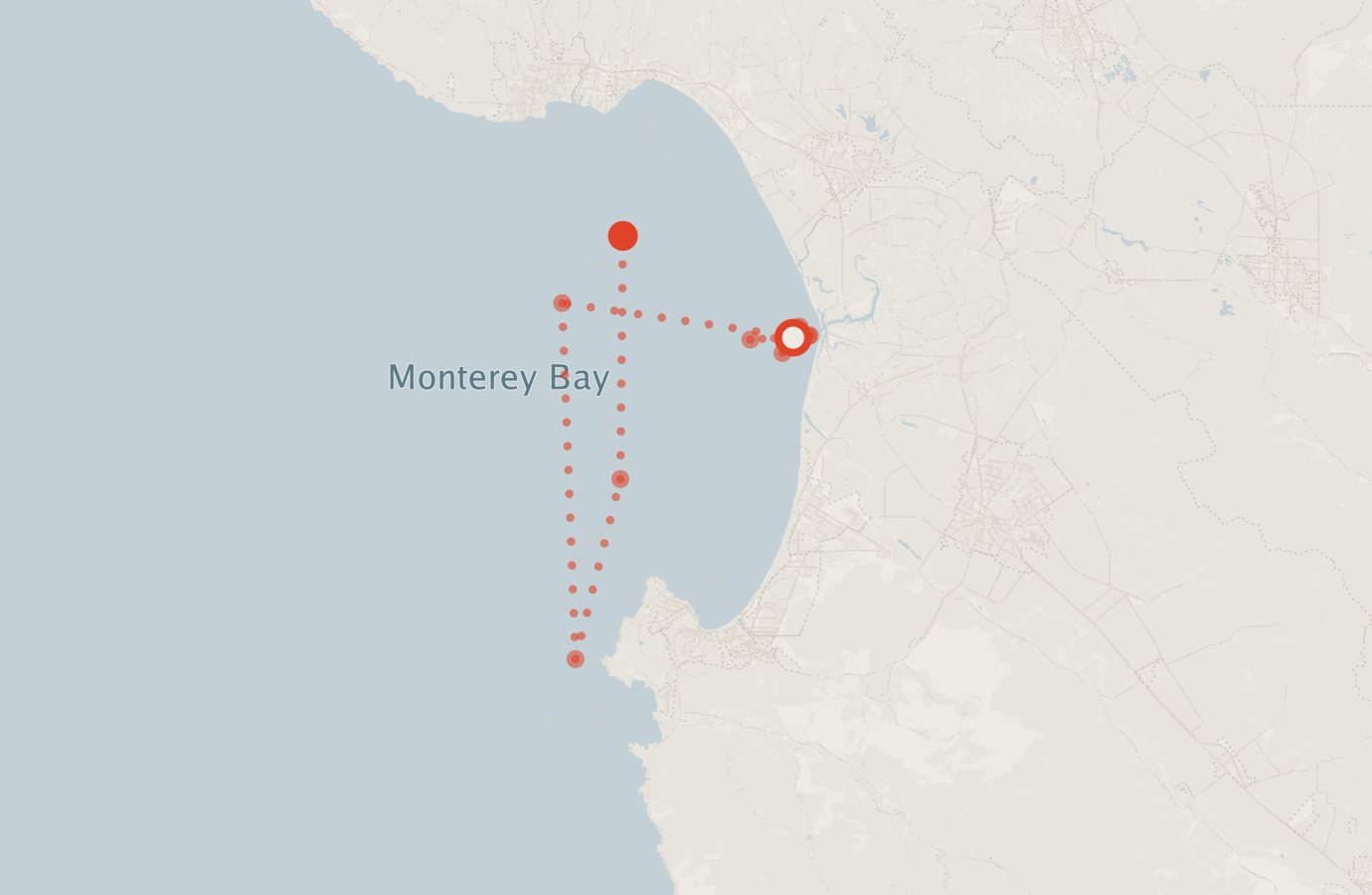 Activity map — real sighting points on an OpenStreetMap basemap