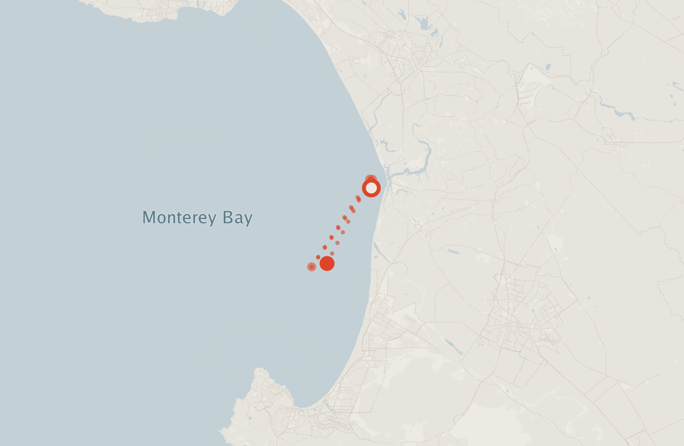 Activity map — real sighting points on an OpenStreetMap basemap