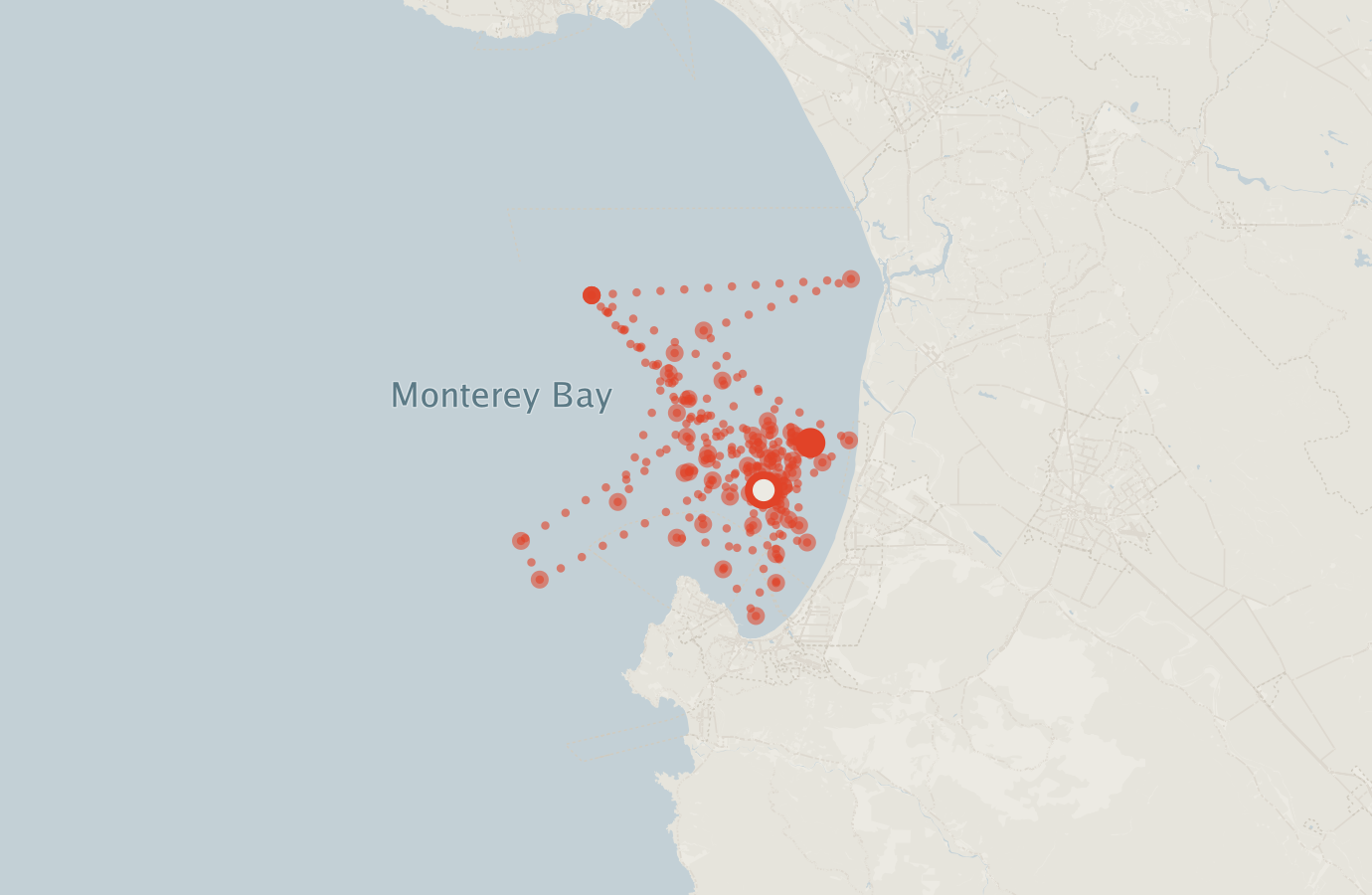 Activity map — real sighting points on an OpenStreetMap basemap