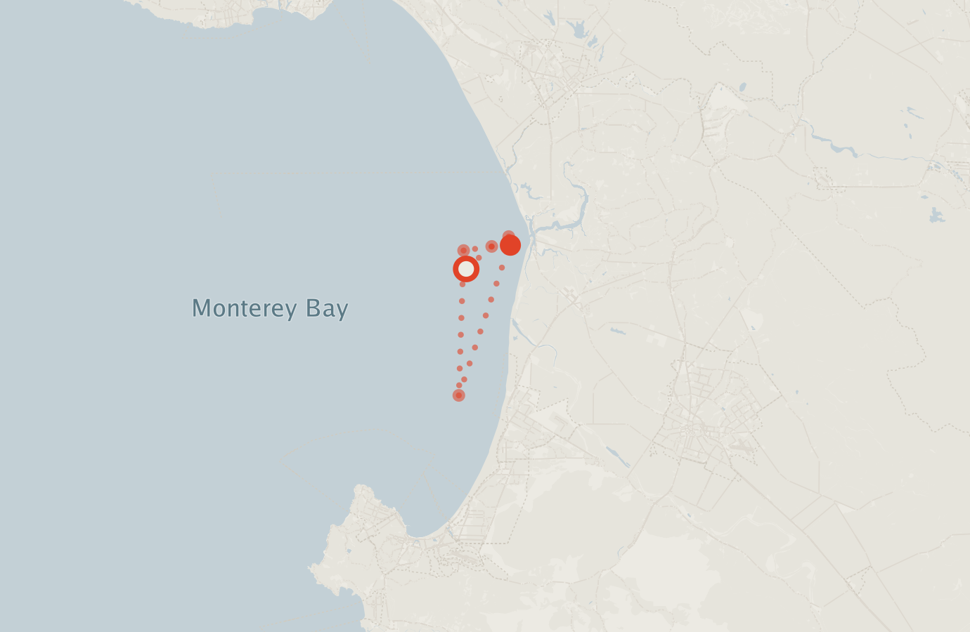 Activity map — real sighting points on an OpenStreetMap basemap