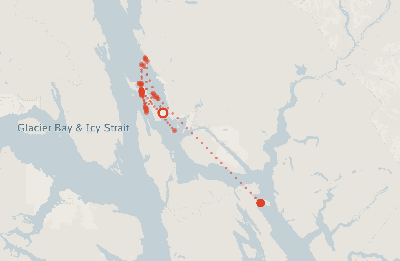 Activity map — real sighting points on an OpenStreetMap basemap