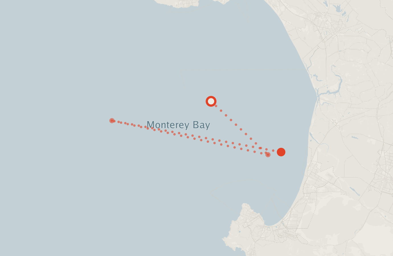 Activity map — real sighting points on an OpenStreetMap basemap