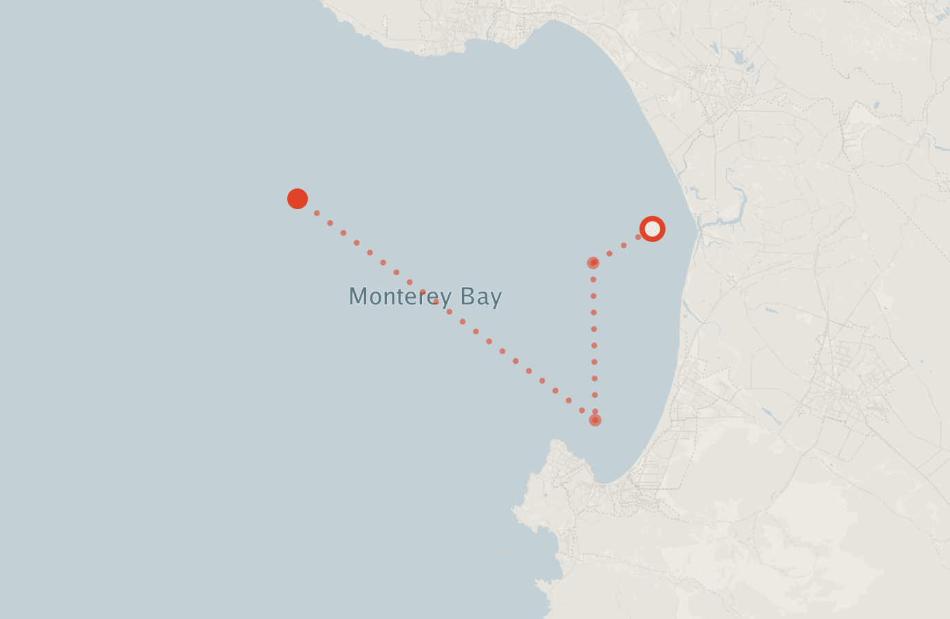 Activity map — real sighting points on an OpenStreetMap basemap