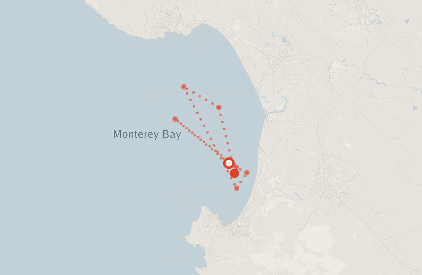 Activity map — real sighting points on an OpenStreetMap basemap