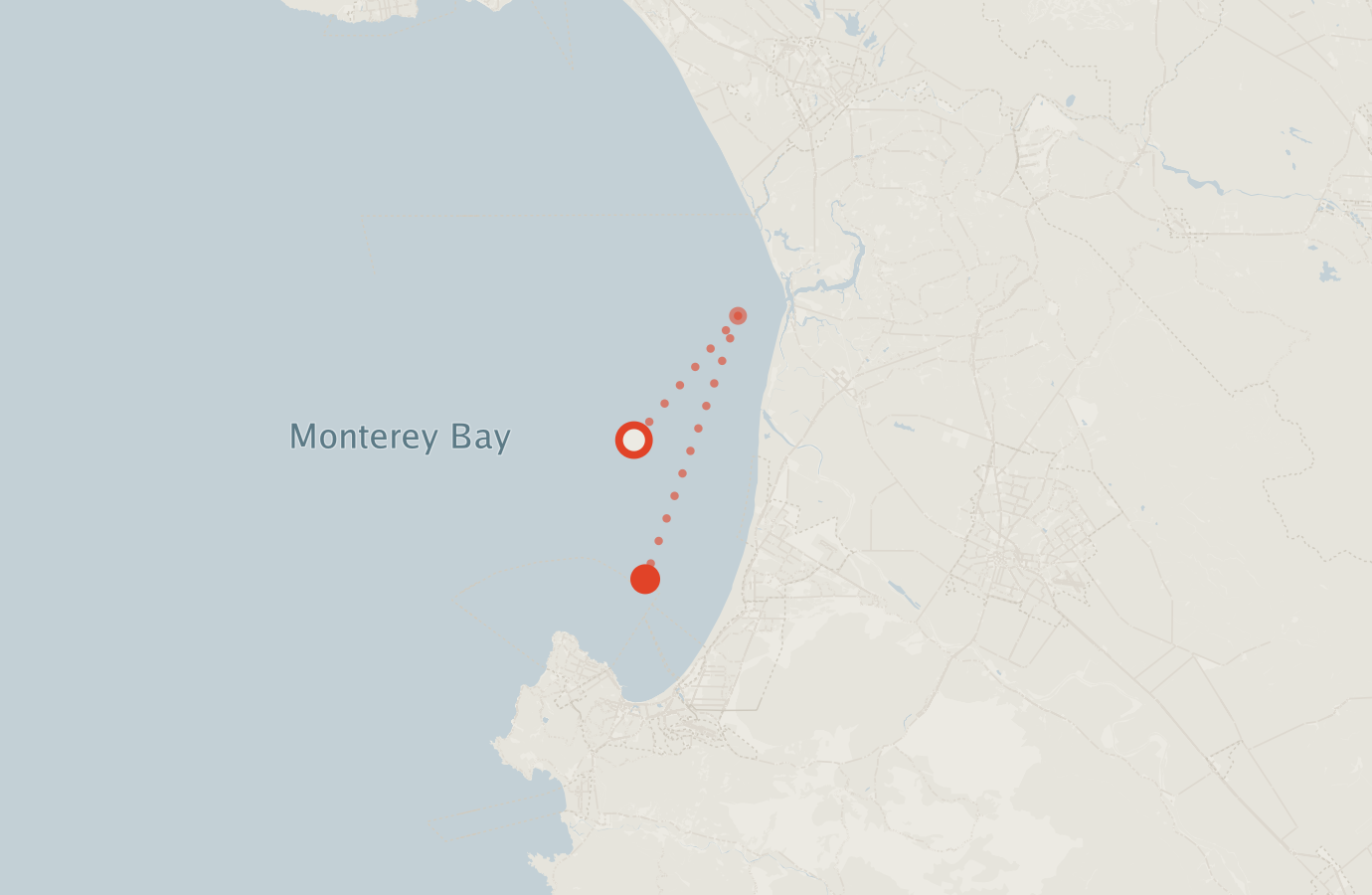 Activity map — real sighting points on an OpenStreetMap basemap