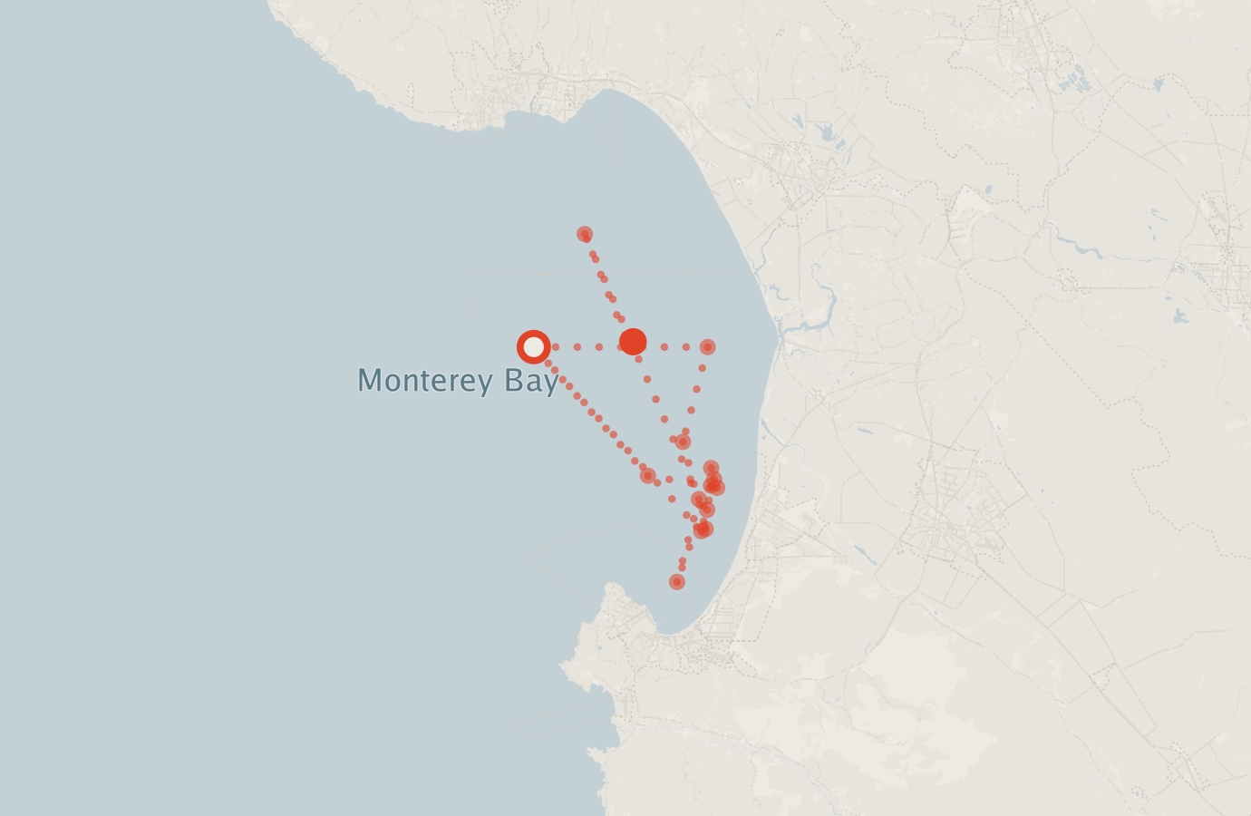 Activity map — real sighting points on an OpenStreetMap basemap