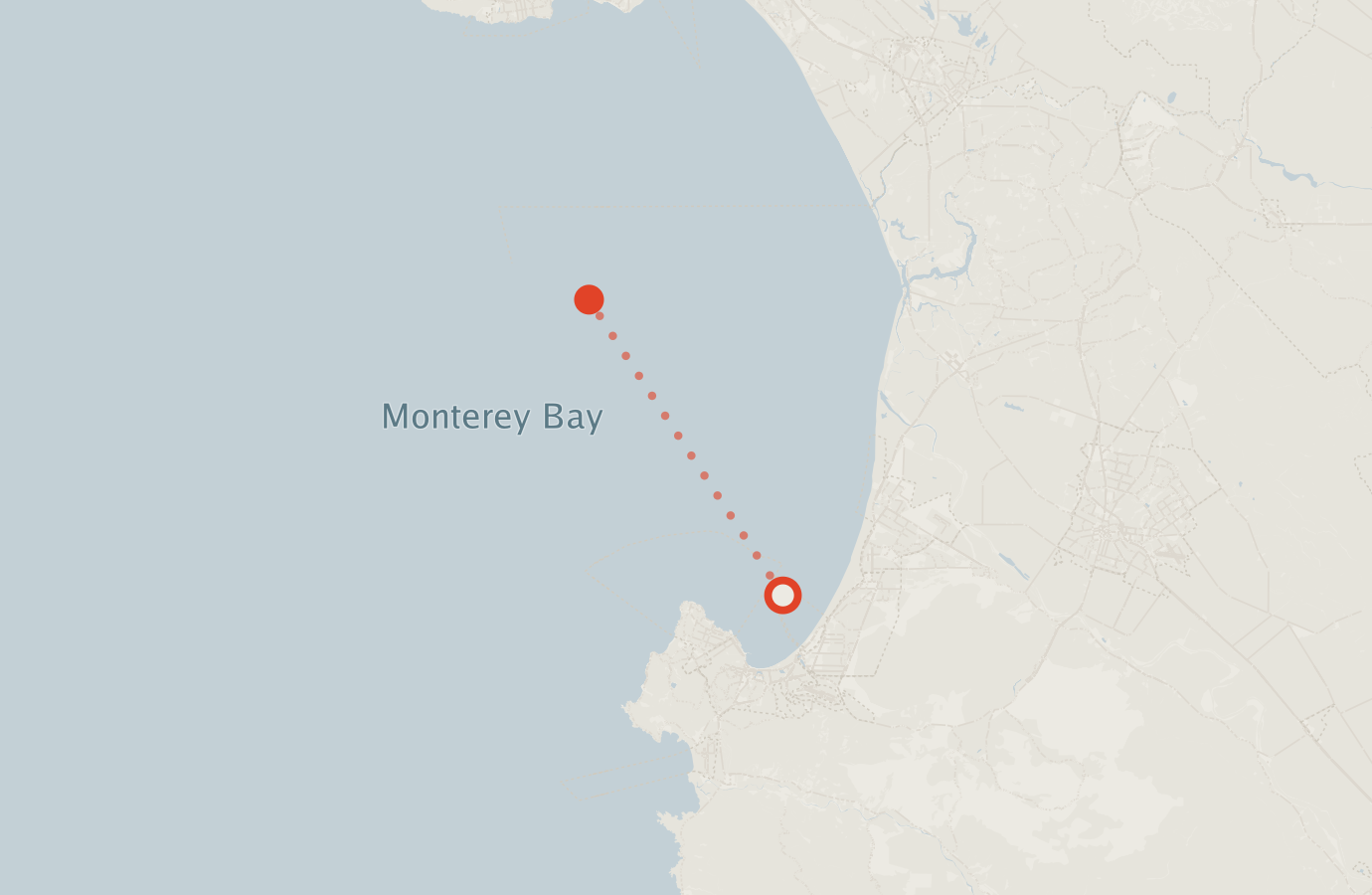 Activity map — real sighting points on an OpenStreetMap basemap