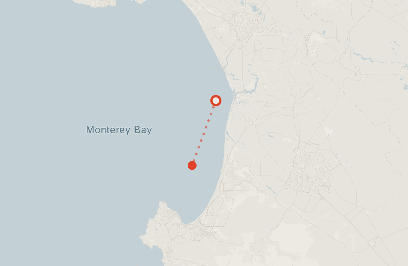 Activity map — real sighting points on an OpenStreetMap basemap