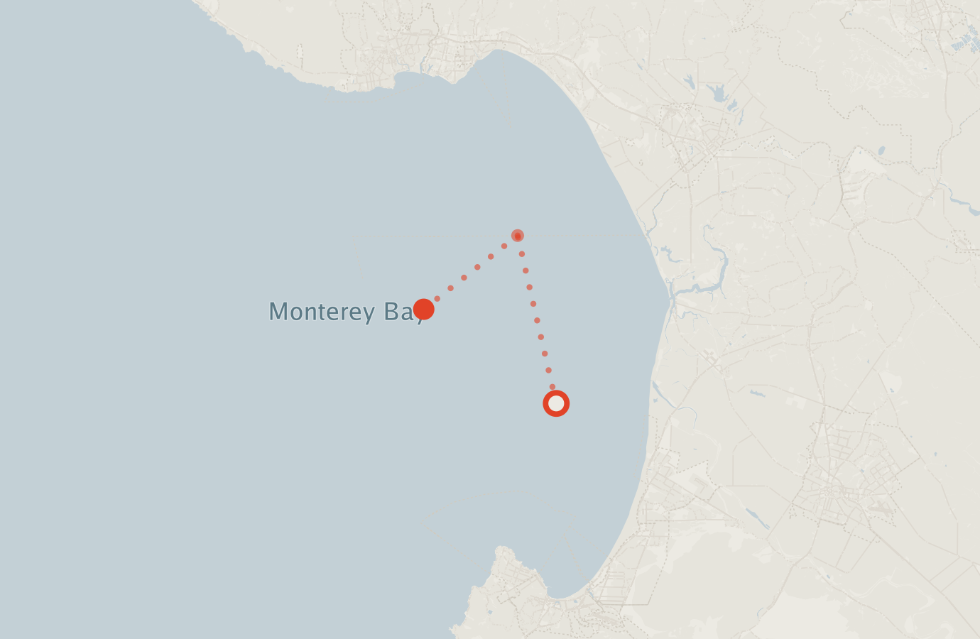 Activity map — real sighting points on an OpenStreetMap basemap