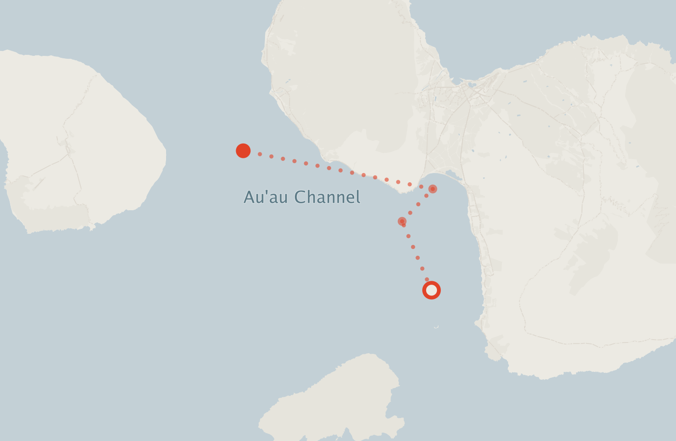 Activity map — real sighting points on an OpenStreetMap basemap
