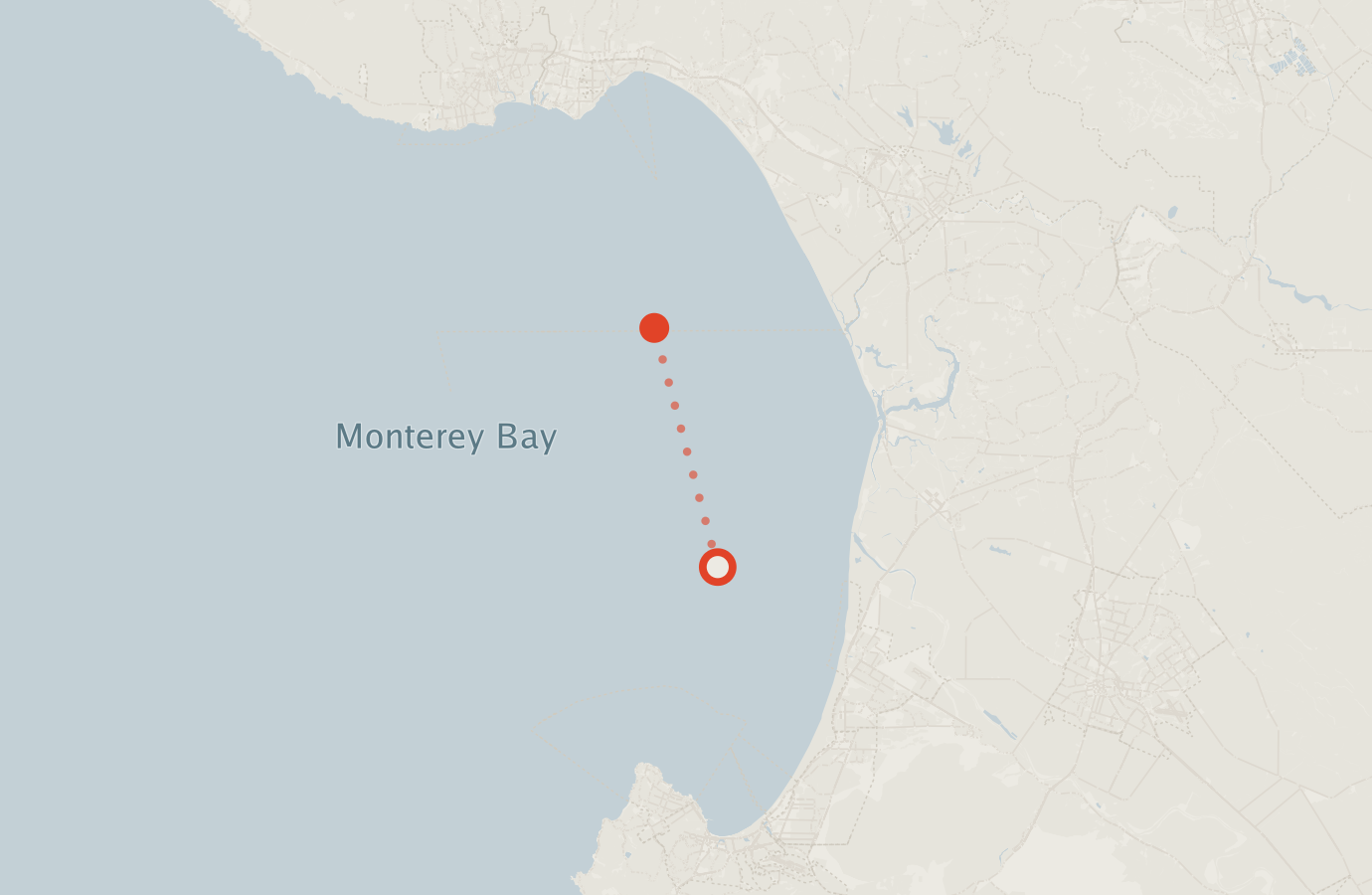 Activity map — real sighting points on an OpenStreetMap basemap