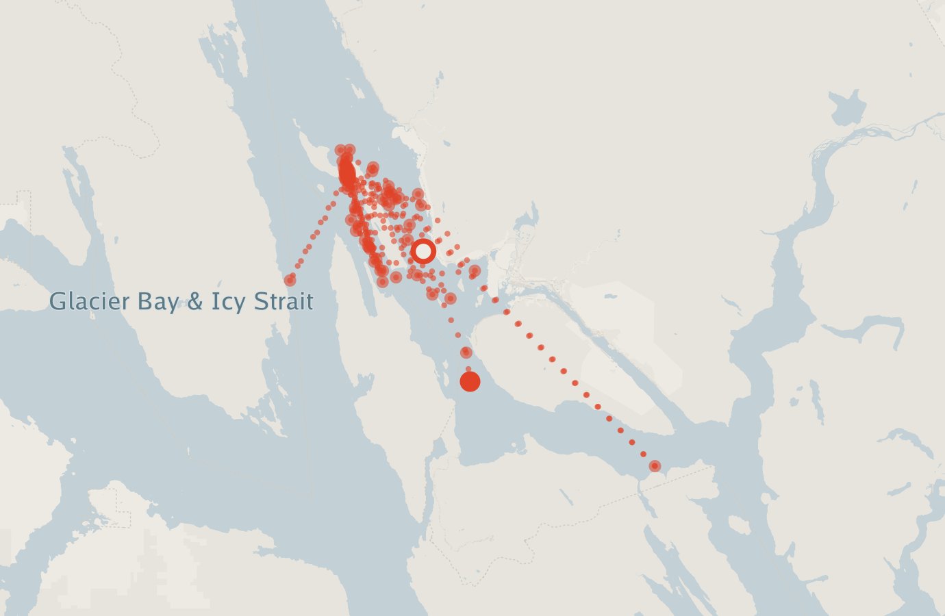 Activity map — real sighting points on an OpenStreetMap basemap