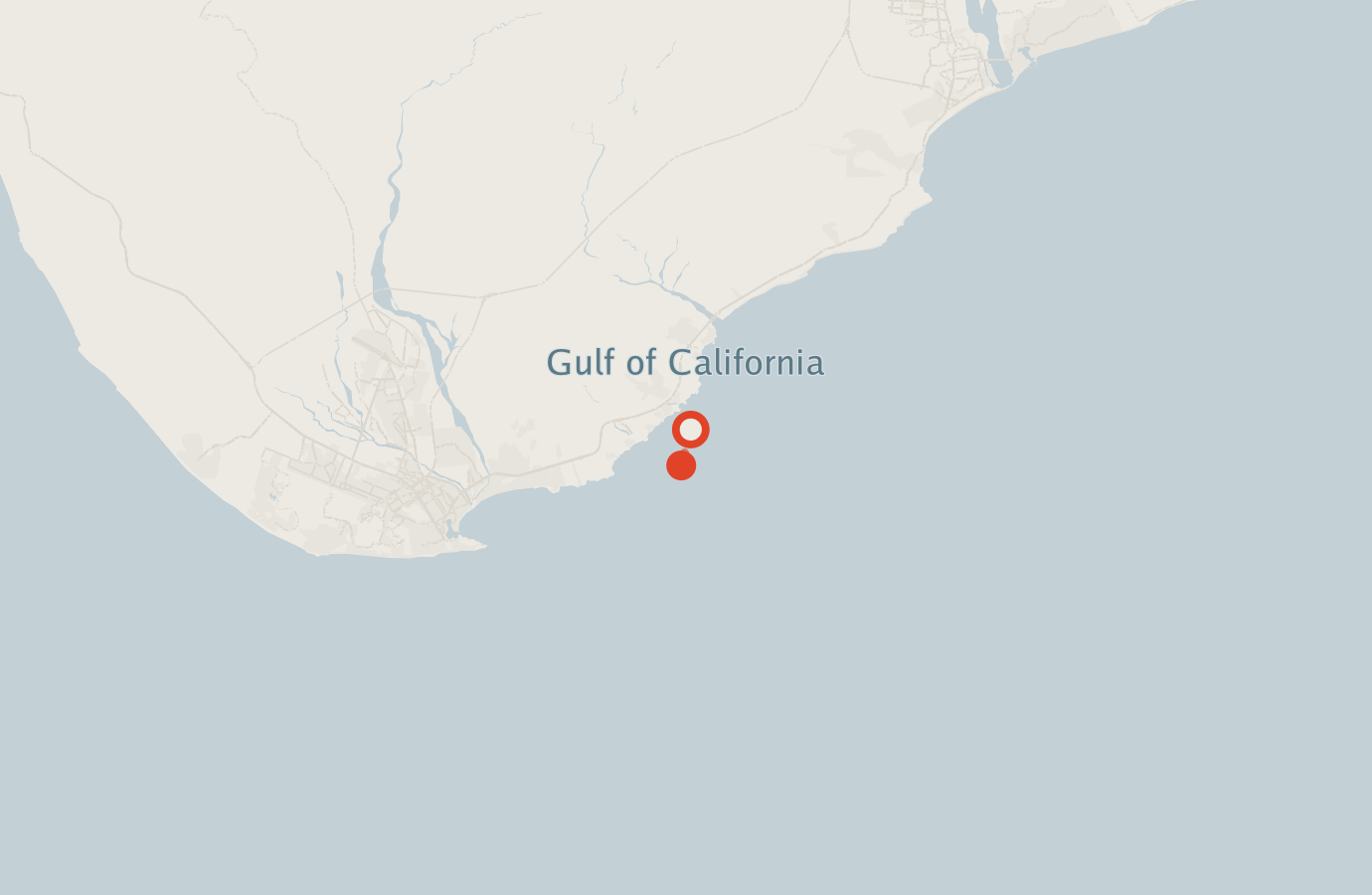 Activity map — real sighting points on an OpenStreetMap basemap