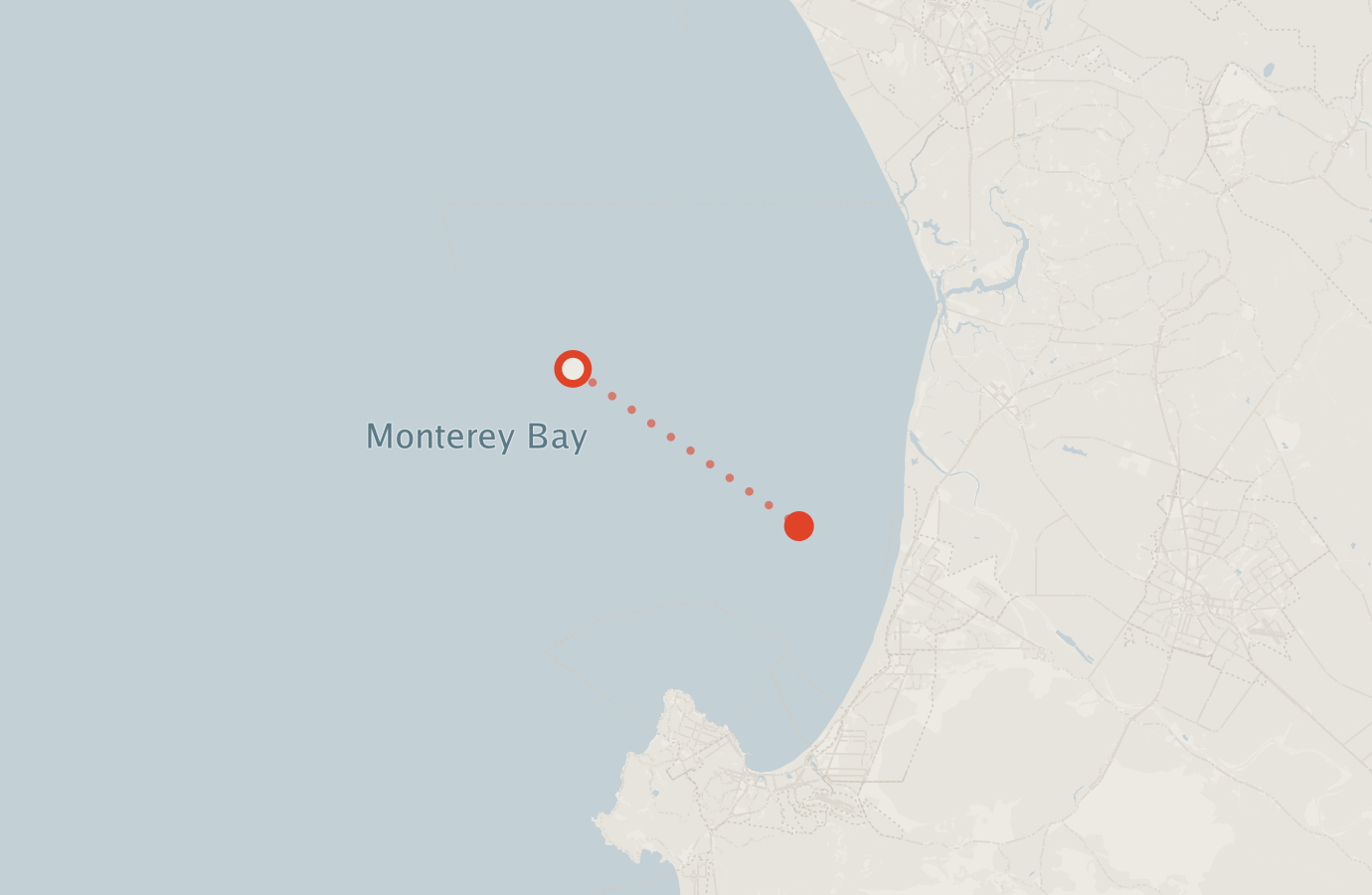 Activity map — real sighting points on an OpenStreetMap basemap